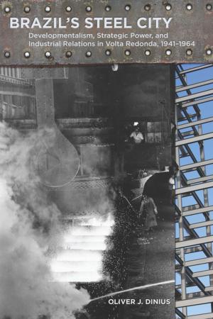Cover of the book Brazil's Steel City by Janis Forman