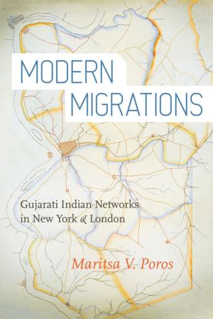 Cover of the book Modern Migrations by Lucio Picci