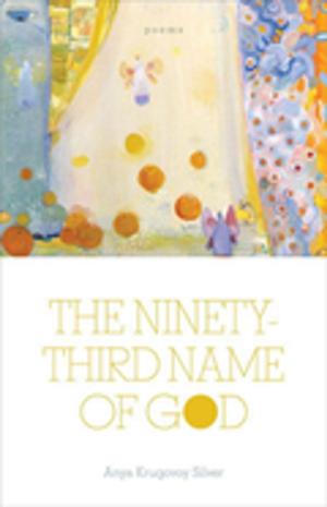 Cover of the book The Ninety-Third Name of God by 