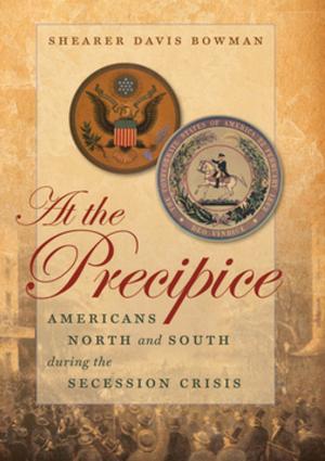Book cover of At the Precipice
