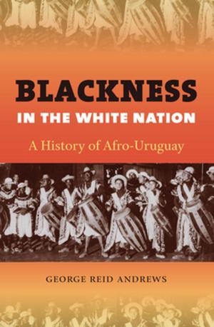 Cover of the book Blackness in the White Nation by Eliza Potter