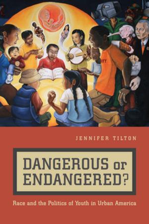 Cover of the book Dangerous or Endangered? by Eric K. Yamamoto