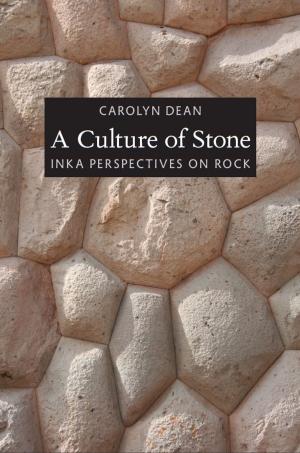 Book cover of A Culture of Stone