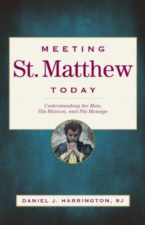 Cover of the book Meeting St. Matthew Today by Santiago Cortés-Sjöberg