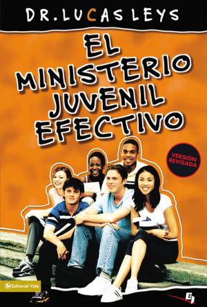 bigCover of the book El ministerio juvenil efectivo by 