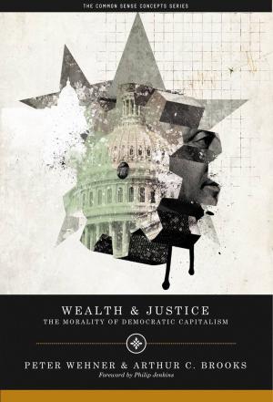 Cover of the book Wealth and Justice by Peter J. Wallison
