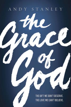 Cover of the book The Grace of God by Jordan Rubin, Nicki Rubin