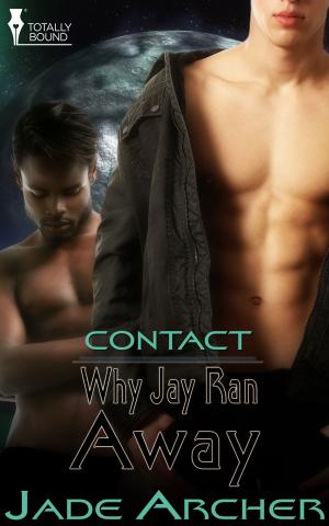 Cover of the book Why Jay Ran Away by Cari Z, Helena Maeve, R.A. Padmos
