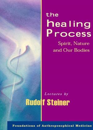 bigCover of the book The Healing Process by 