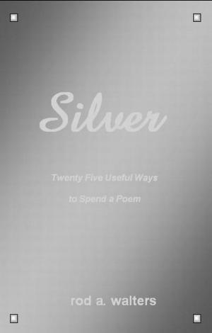 Cover of the book Silver by Sassie Lewis