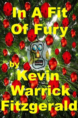 Cover of the book In A Fit Of Fury by Ken Leek