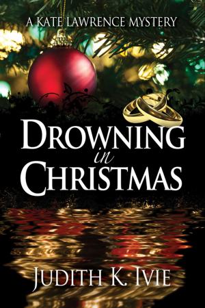 Cover of the book Drowning in Christmas by Heather Weidner