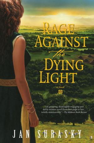 Cover of the book Rage Against the Dying Light by Mark W Sasse