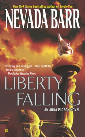 Cover of the book Liberty Falling by Chris Volkmann, Toren Volkmann