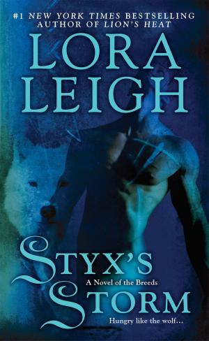 Cover of the book Styx's Storm by Vashti M. McKenzie