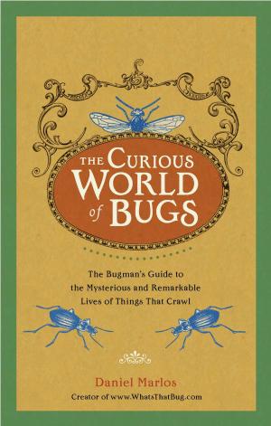 Cover of the book The Curious World of Bugs by Juliet Marillier