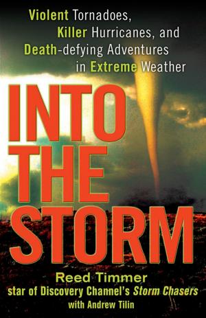 Cover of the book Into the Storm by Victoria Thompson