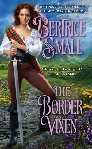 Cover of the book The Border Vixen by Rachel Kovaciny
