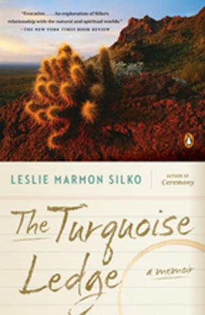 Book cover of The Turquoise Ledge