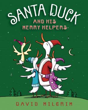 Book cover of Santa Duck and His Merry Helpers