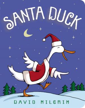 Cover of the book Santa Duck by Charlotte Cotter
