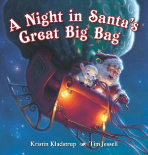 Cover of the book A Night in Santa's Great Big Bag by Brenna Maloney