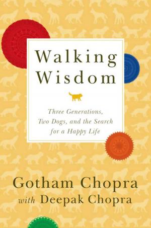 Book cover of Walking Wisdom