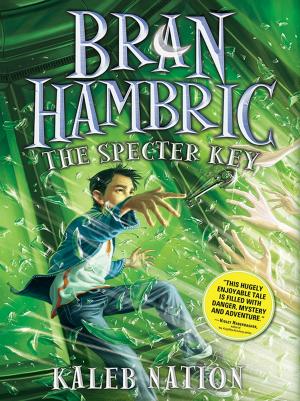 Book cover of Bran Hambric: The Specter Key