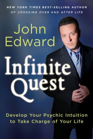 Cover of the book Infinite Quest by Jon Mundy, PhD