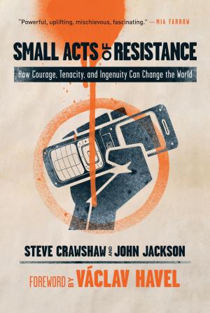 Book cover of Small Acts of Resistance