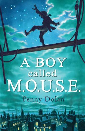 Cover of the book A Boy Called MOUSE by Sarah Beth Durst