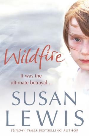Cover of the book Wildfire by Peter David, Keith R. A. DeCandido, Sarah Shaw