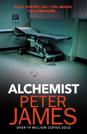 Cover of the book Alchemist by Paul McAuley