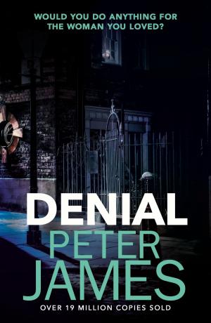 Cover of the book Denial by Keith Roberts