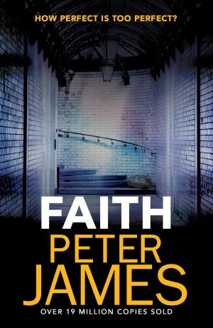 Cover of the book Faith by Colin Greenland