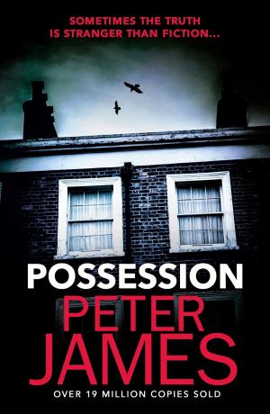 Cover of the book Possession by Pat Cadigan