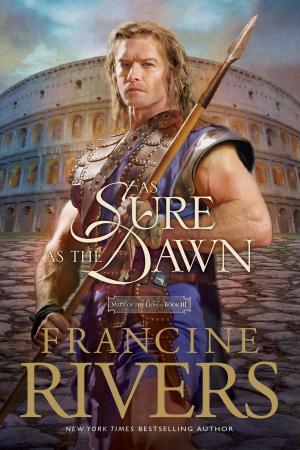 Book cover of As Sure as the Dawn