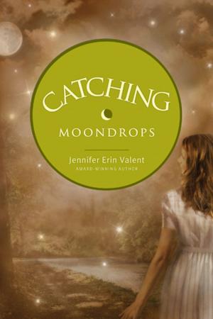 bigCover of the book Catching Moondrops by 