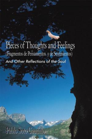 Cover of the book Pieces of Thoughts and Feelings (Fragmentos De Pensamientos Y De Sentimientos) by Dorothy Elaine Davis