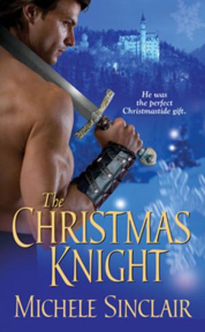 Cover of the book The Christmas Knight by Wilma Counts