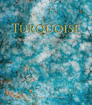 Cover of the book Turquoise by Peter Moruzzi