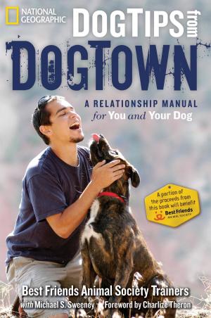 Book cover of Dog Tips From DogTown