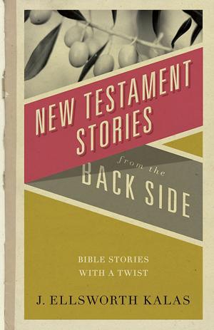 Cover of the book New Testament Stories from the Back Side by David Lewis, Elizabeth Lewis