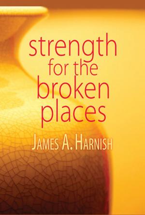 Book cover of Strength for the Broken Places