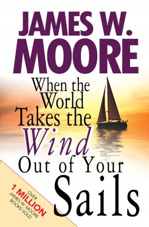 Cover of the book When the World Takes the Wind Out of Your Sails by J. Ellsworth Kalas, David Kalas, Taddy Kalas