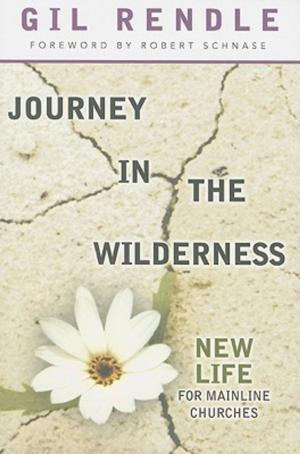 Cover of the book Journey in the Wilderness by Rueben P. Job
