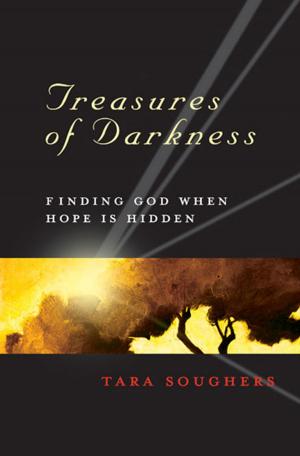 Cover of the book Treasures of Darkness - eBook [ePub] by Olu Brown