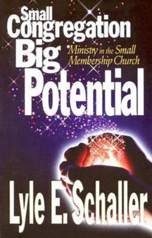 Cover of the book Small Congregation, Big Potential by Cynthia Ruchti