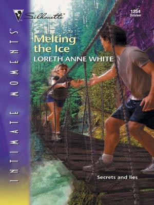 Book cover of Melting the Ice
