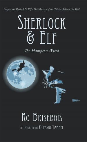 Cover of the book Sherlock & Elf by Jay R. Leach